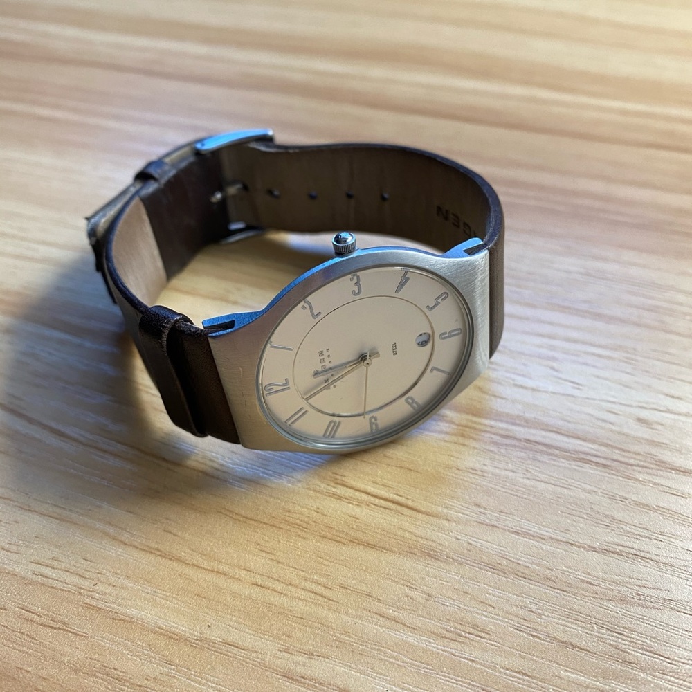 Skagen Mens Watch